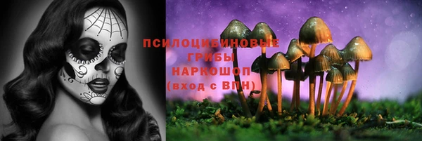 марки lsd Абаза