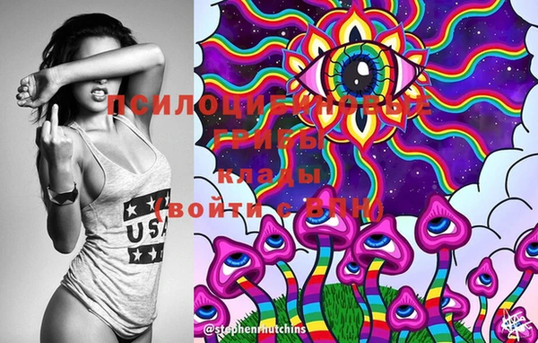 марки lsd Абаза