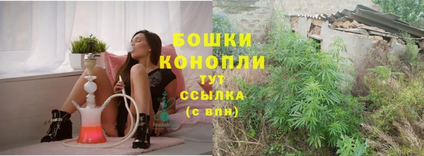 бошки Алексин