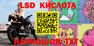 mdma Камышлов