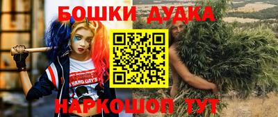ПСИЛОЦИБИНОВЫЕ ГРИБЫ Кандалакша