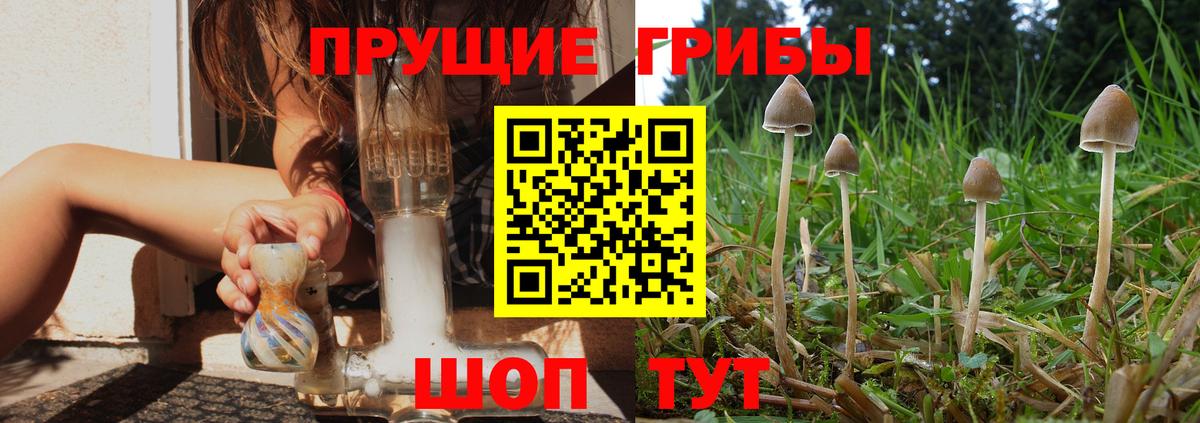 Галлюциногенные грибы GOLDEN TEACHER Североморск